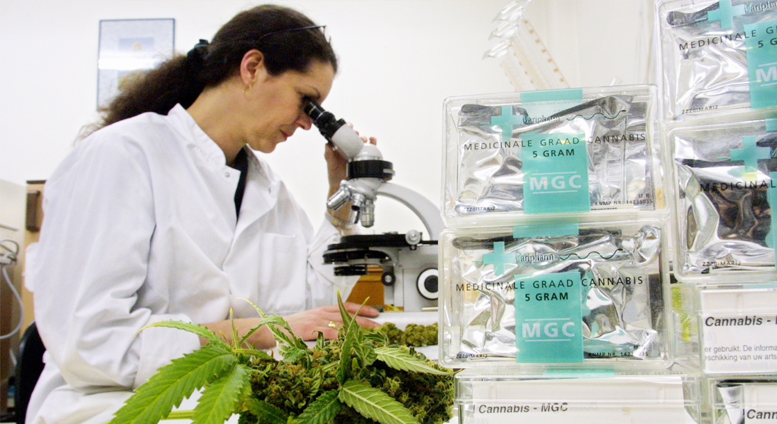 Help Fresh Generation Out Of Cannabis Addiction